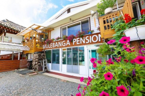 Osakae Anteo Mulraebang-a Pension